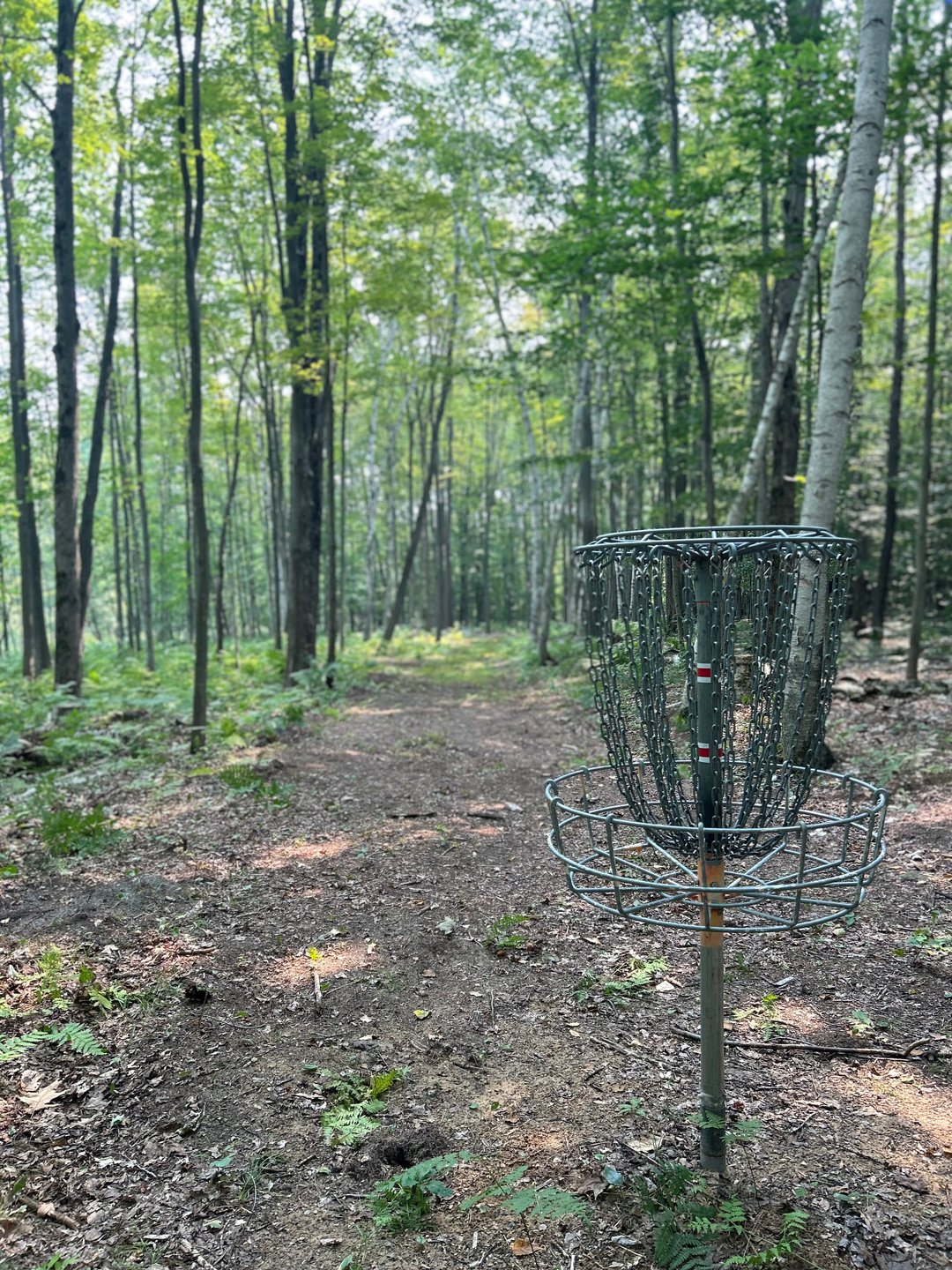 Hole 8s basket looking back at the tee pad 