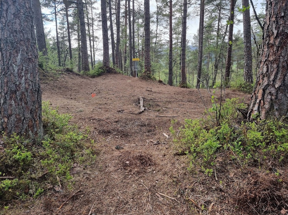 Fairway on hole 6