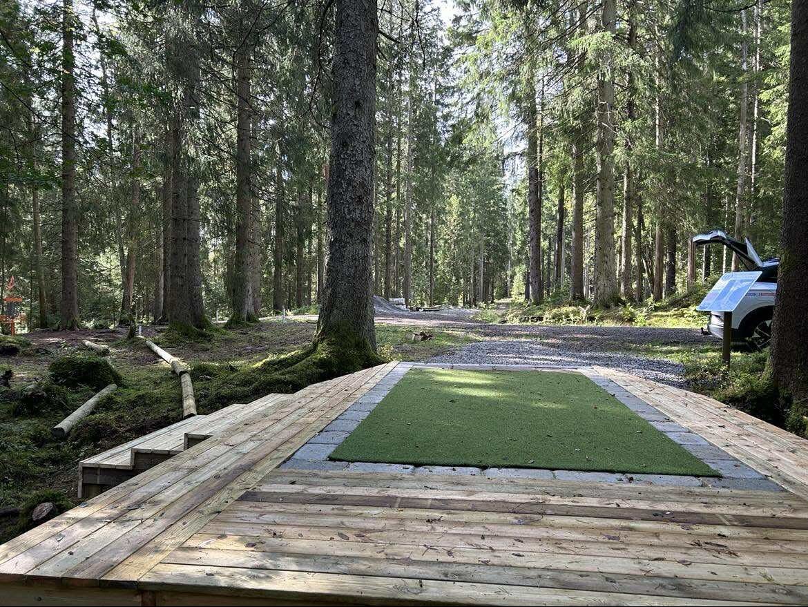 Gold tee hole 11