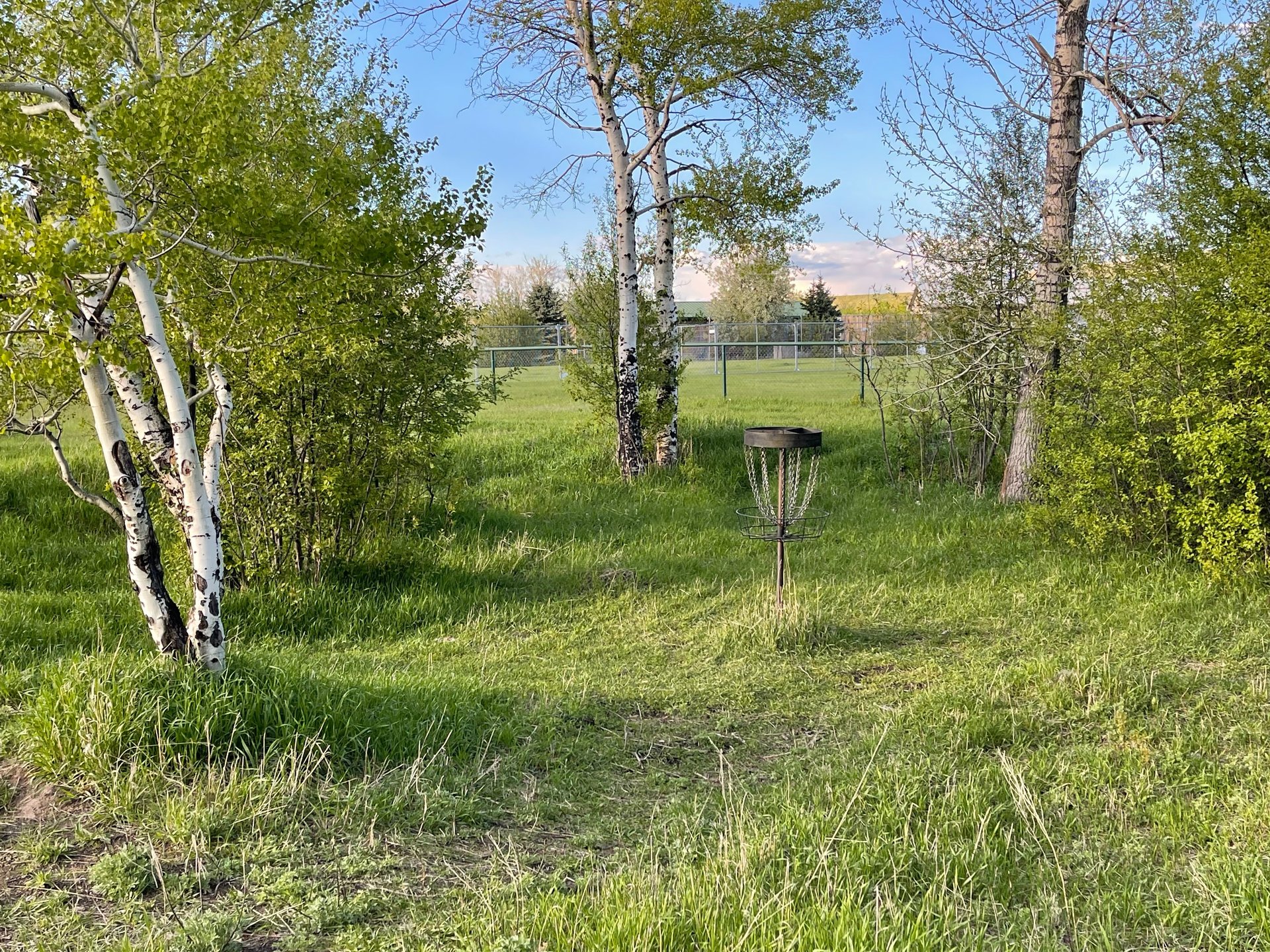 Hole 12 pocket