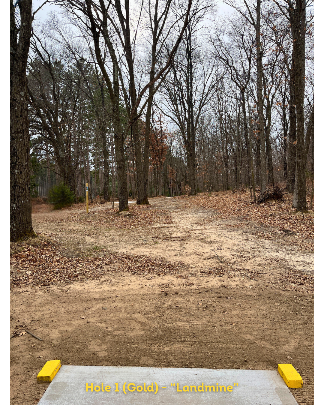 Hole #1 - Golds "LANDMINE"