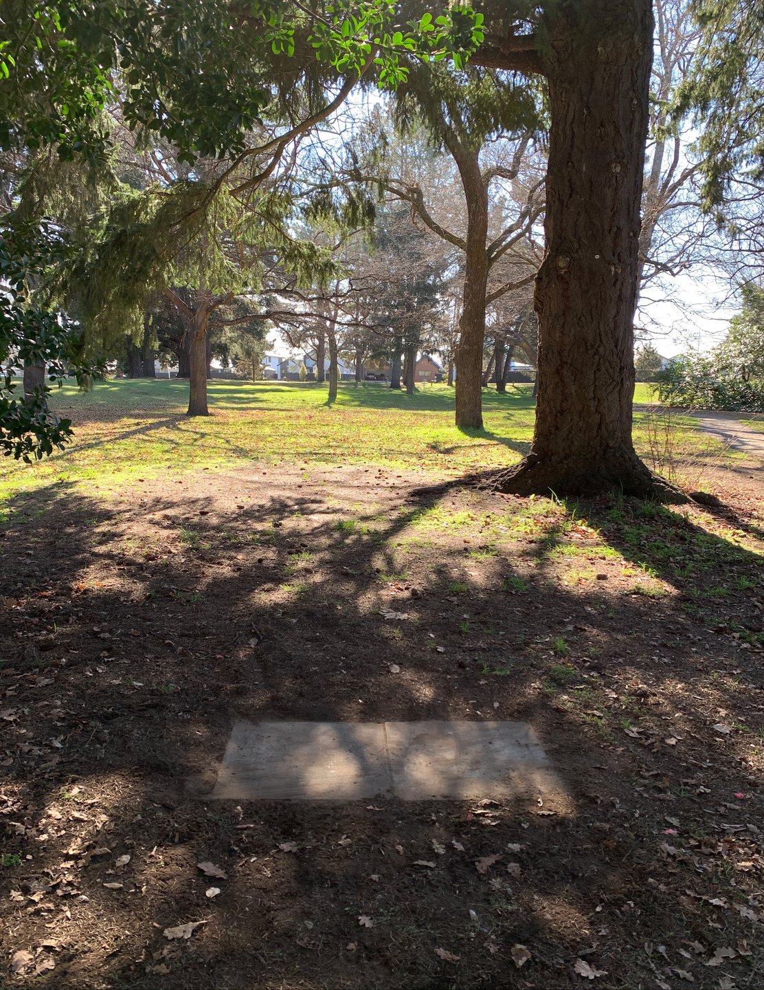 Hole 8 tee pad 