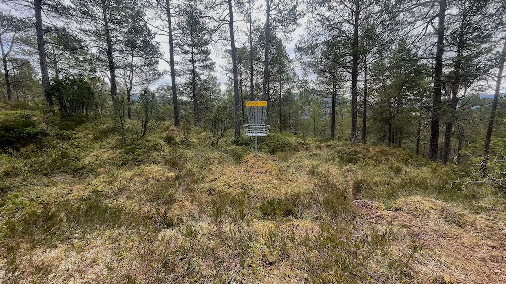 Kurven på hull 14. 