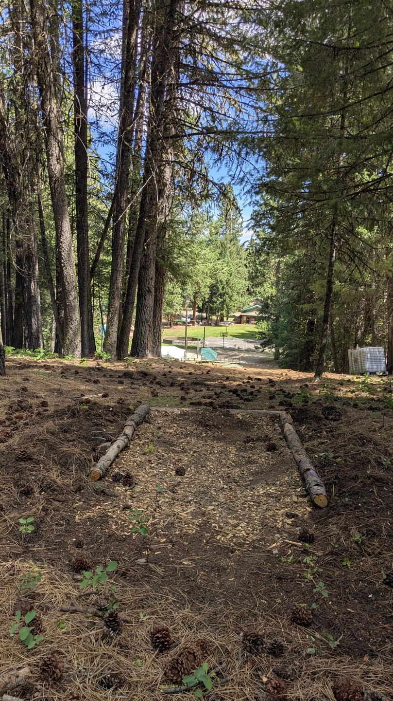 #24 - Elevated Tee Pad overlooking Camp Pinewood