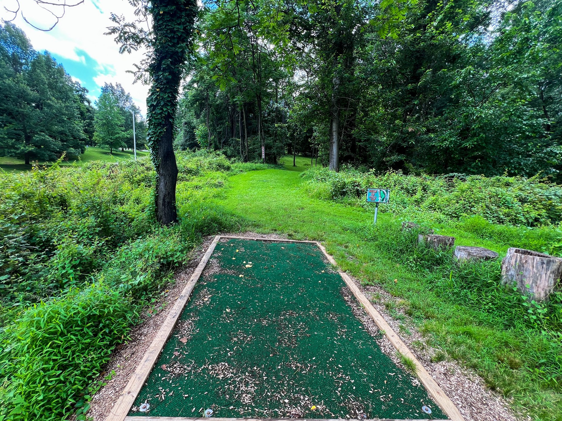 Hole 18's tee. Yellow is Par 3, 289 ft. Pink is Par 4, 347 ft. Road is OB in both sides. Have to throw to the right of the MANDO. 