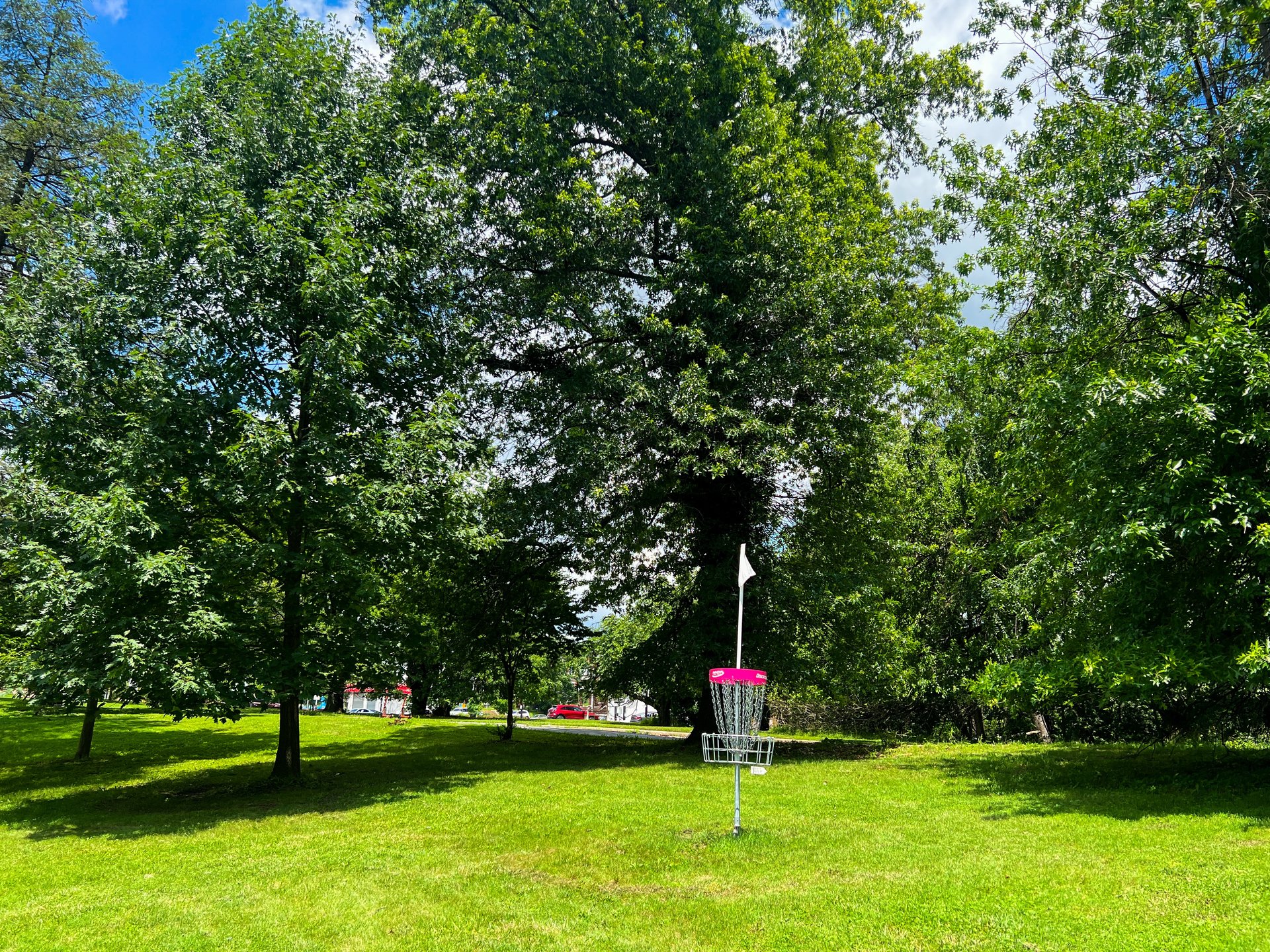 Hole 10's Pink Basket. Par 3.  309 ft. Road on both side is OB. 