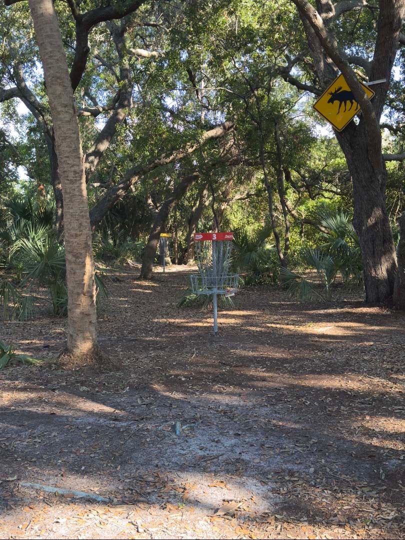 Short/red and long/yellow baskets for hole 3.
