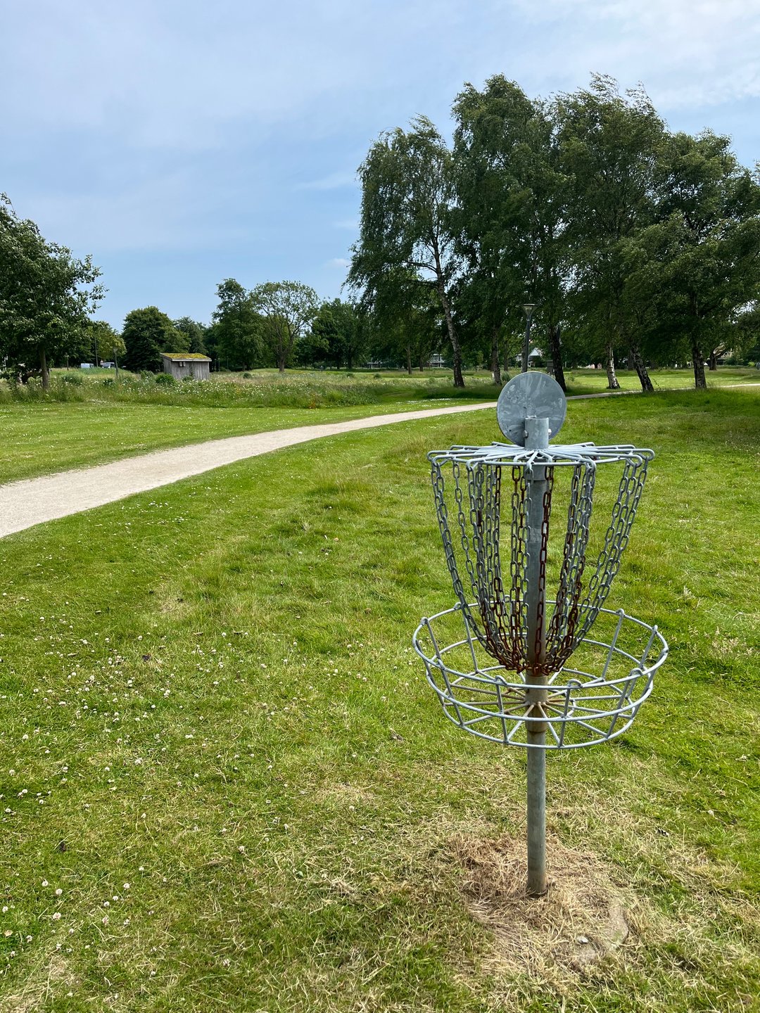 #2 from basket