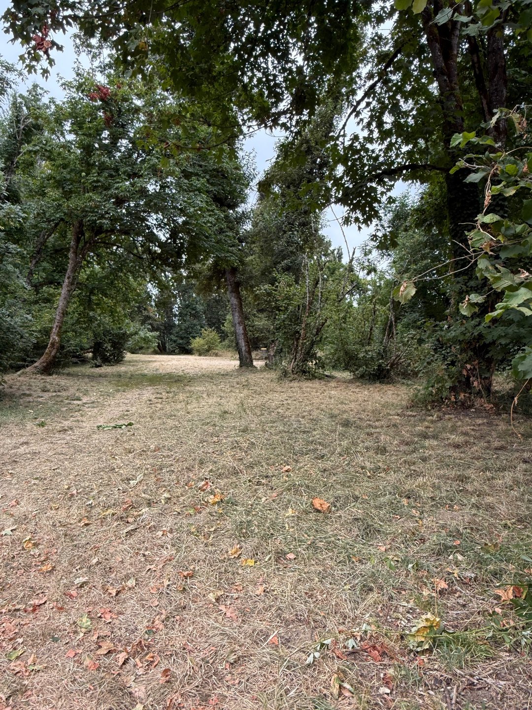 Fairway.