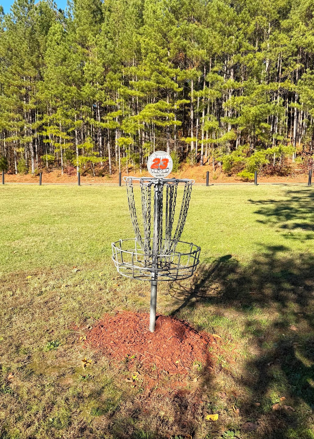 Hole 23 Basket