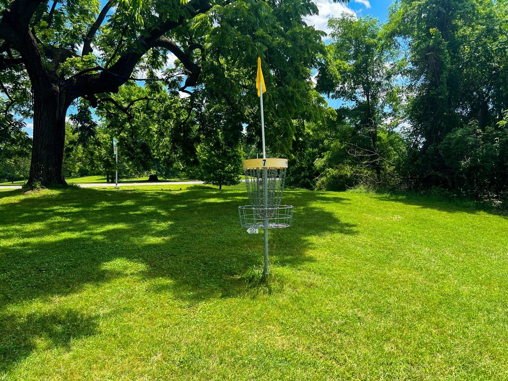 Hole 7's Yellow basket. Par 4. 544 ft. 