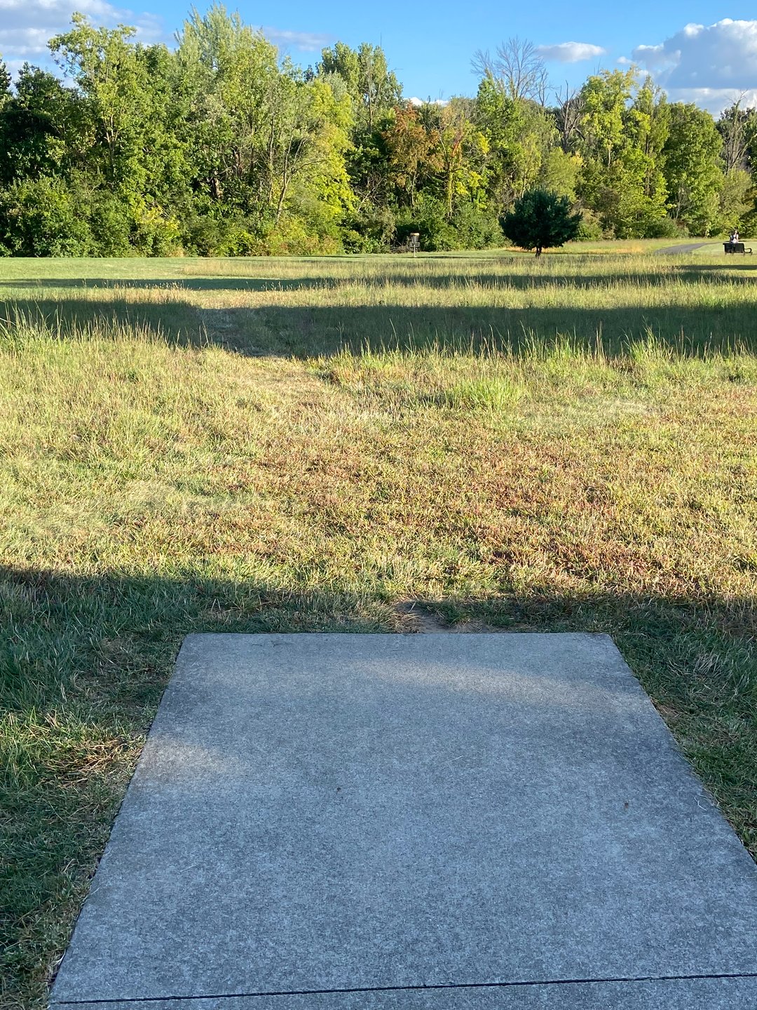 Hole 13. Creek behind the basket straight ahead. 