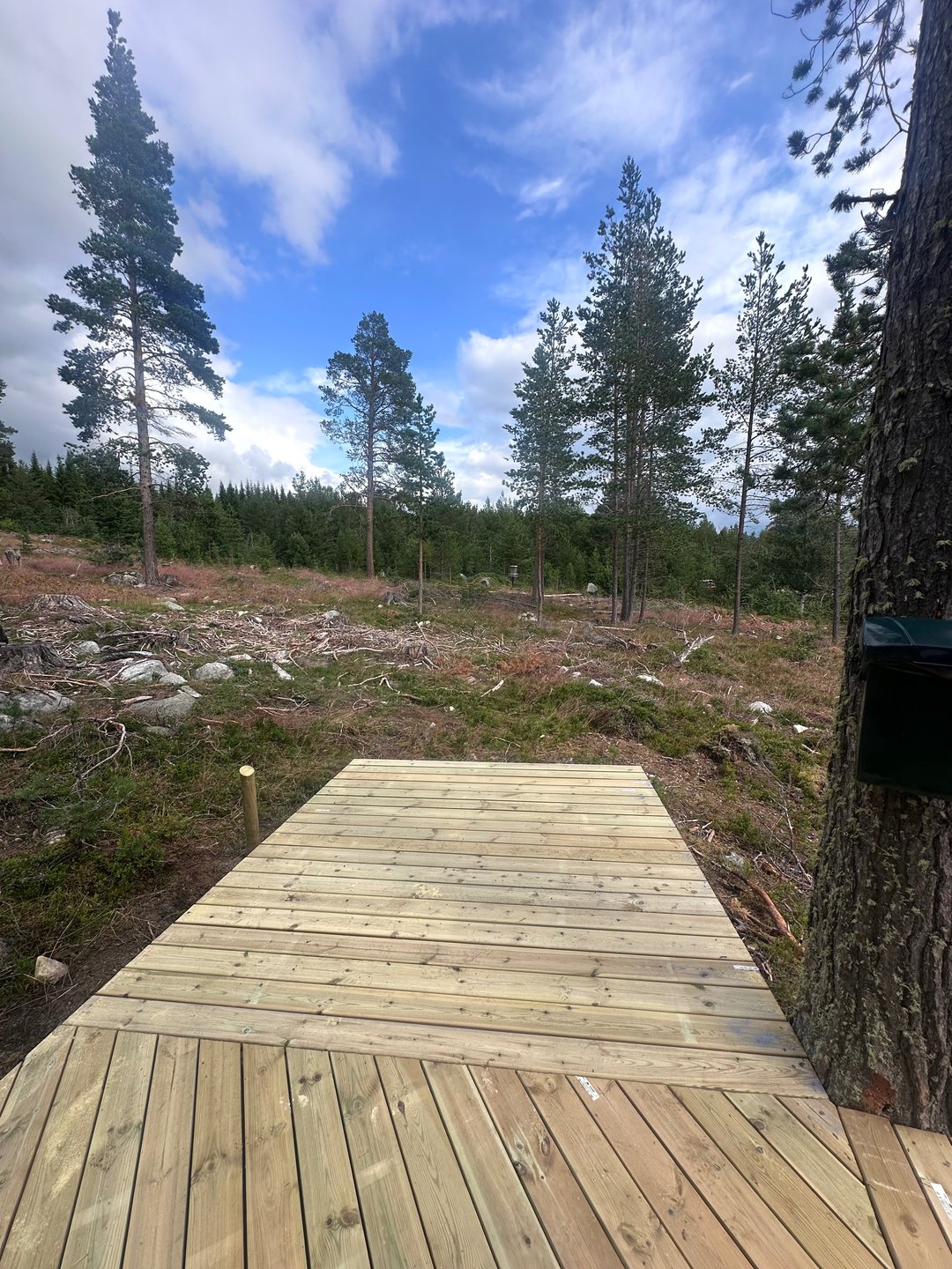 Utkast og kurv 9