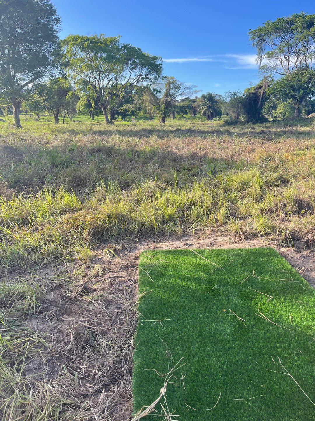 Hole 10 Long Pad