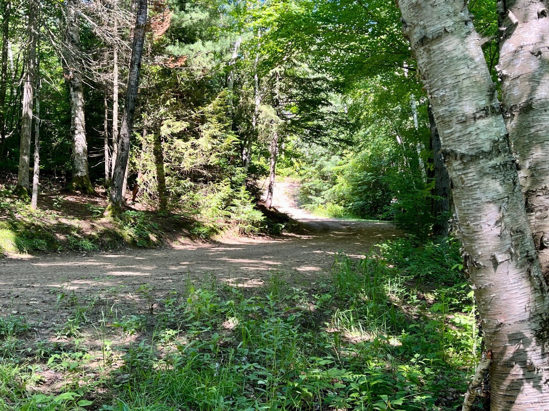 Hole 14 tee shot. Target is up past the hill