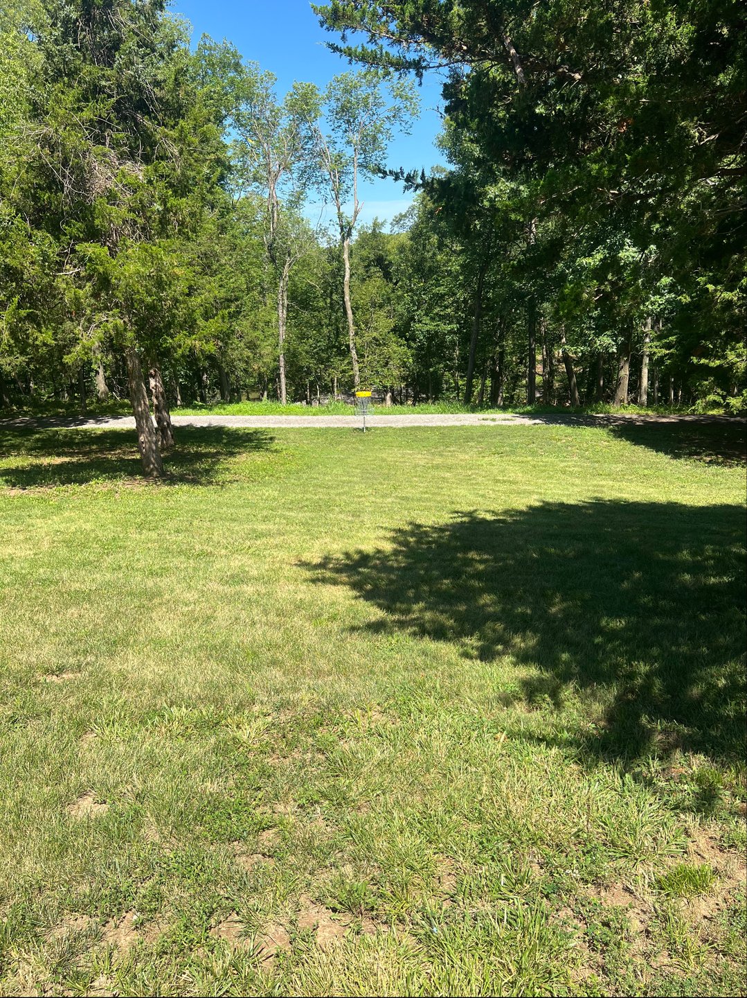 Hole #3 standing in fairway facing basket 