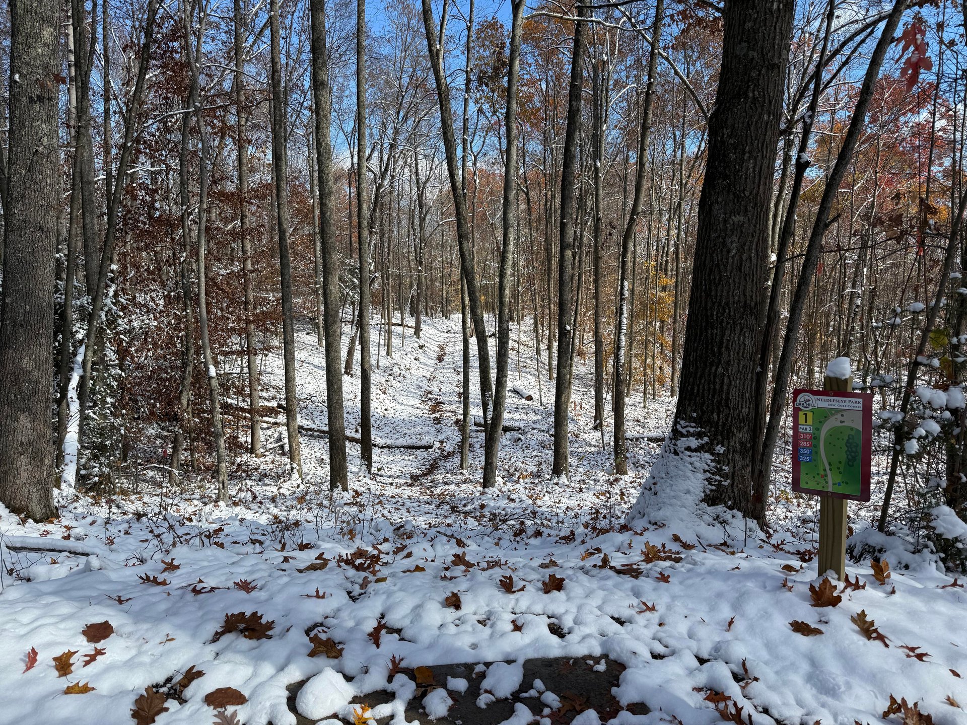 View from the short teepad