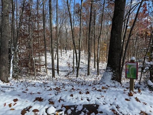 View from the short teepad