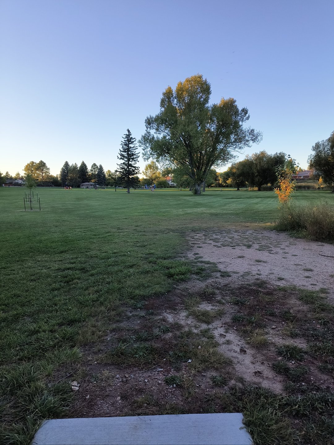 Hole 8 from alternate tee