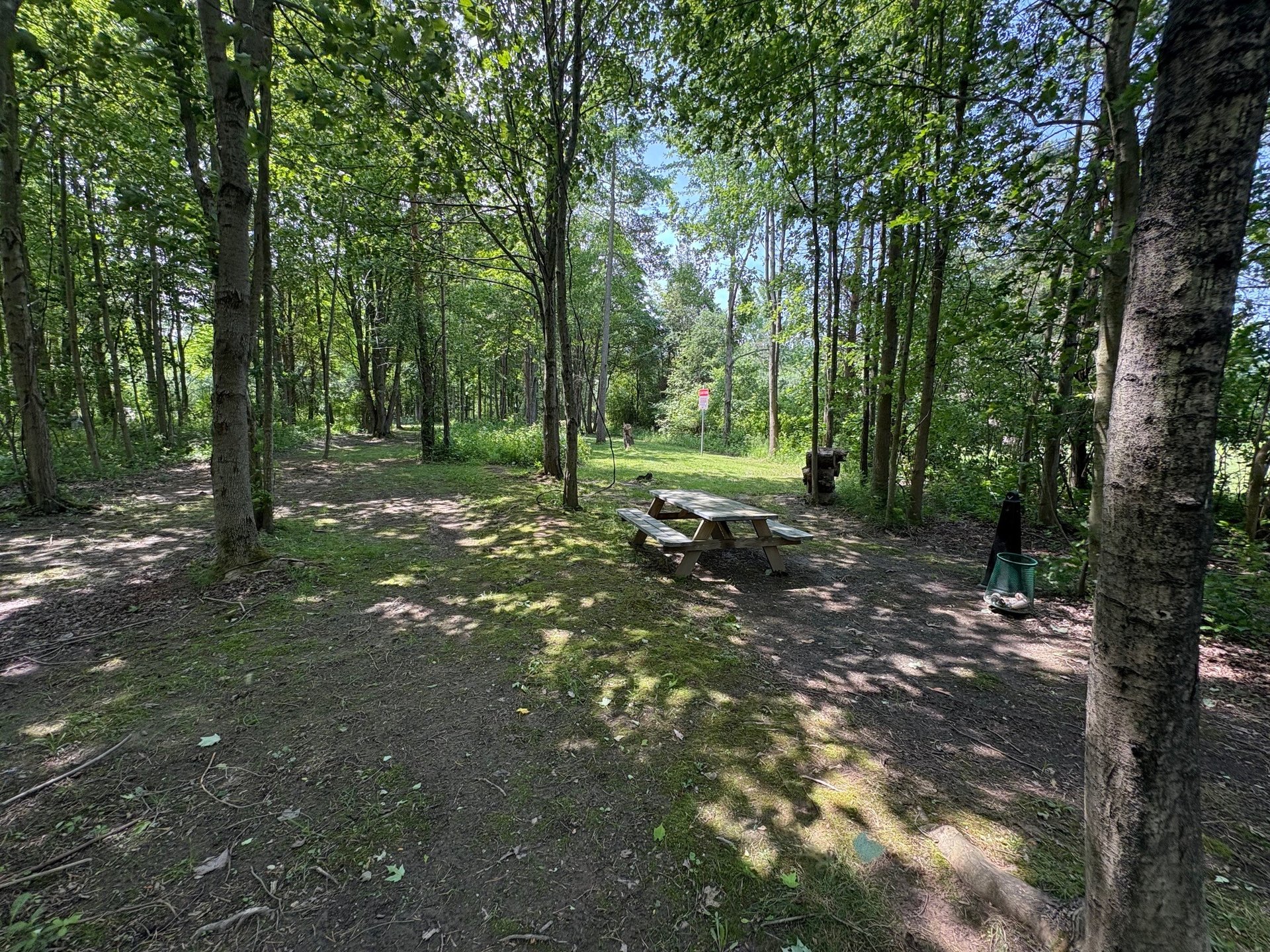 Tee area around Tee 5