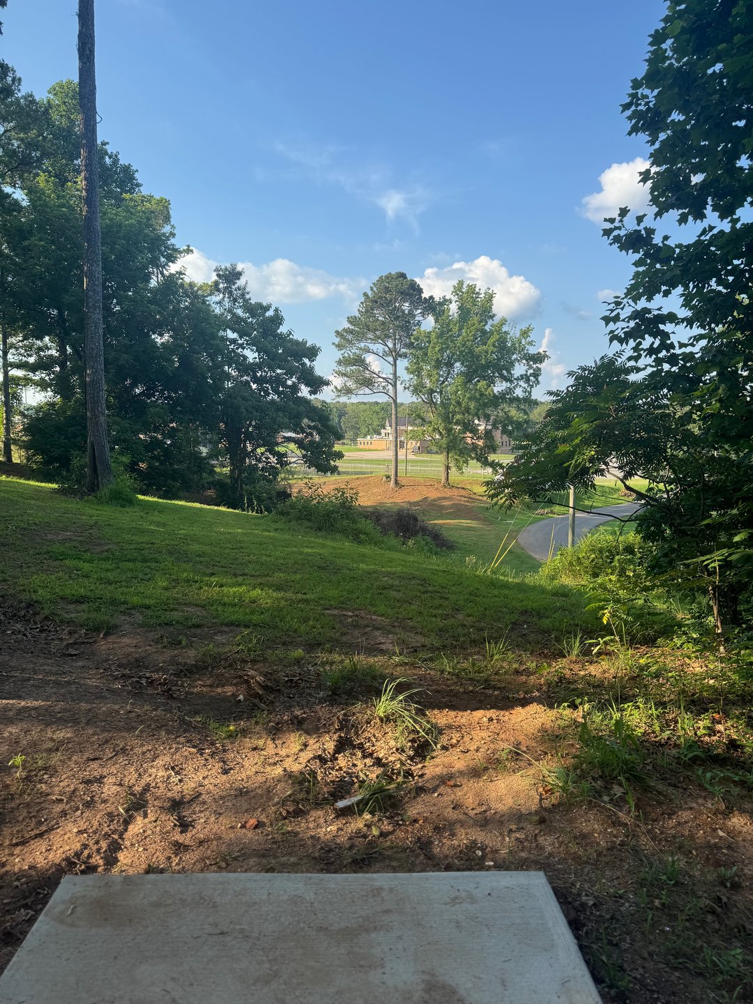 Hole 2 tee