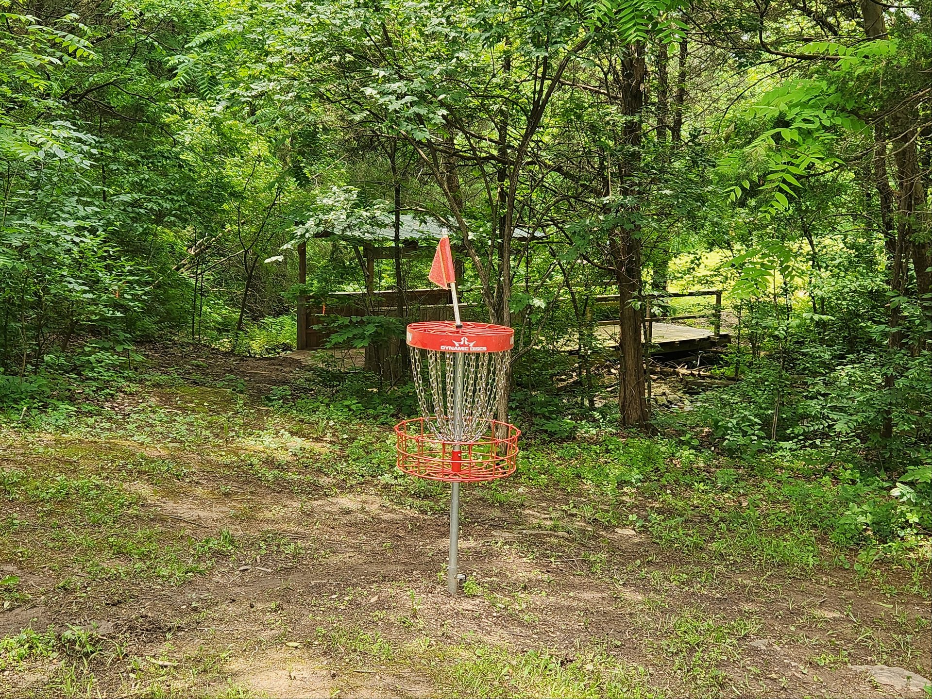 Basket location

