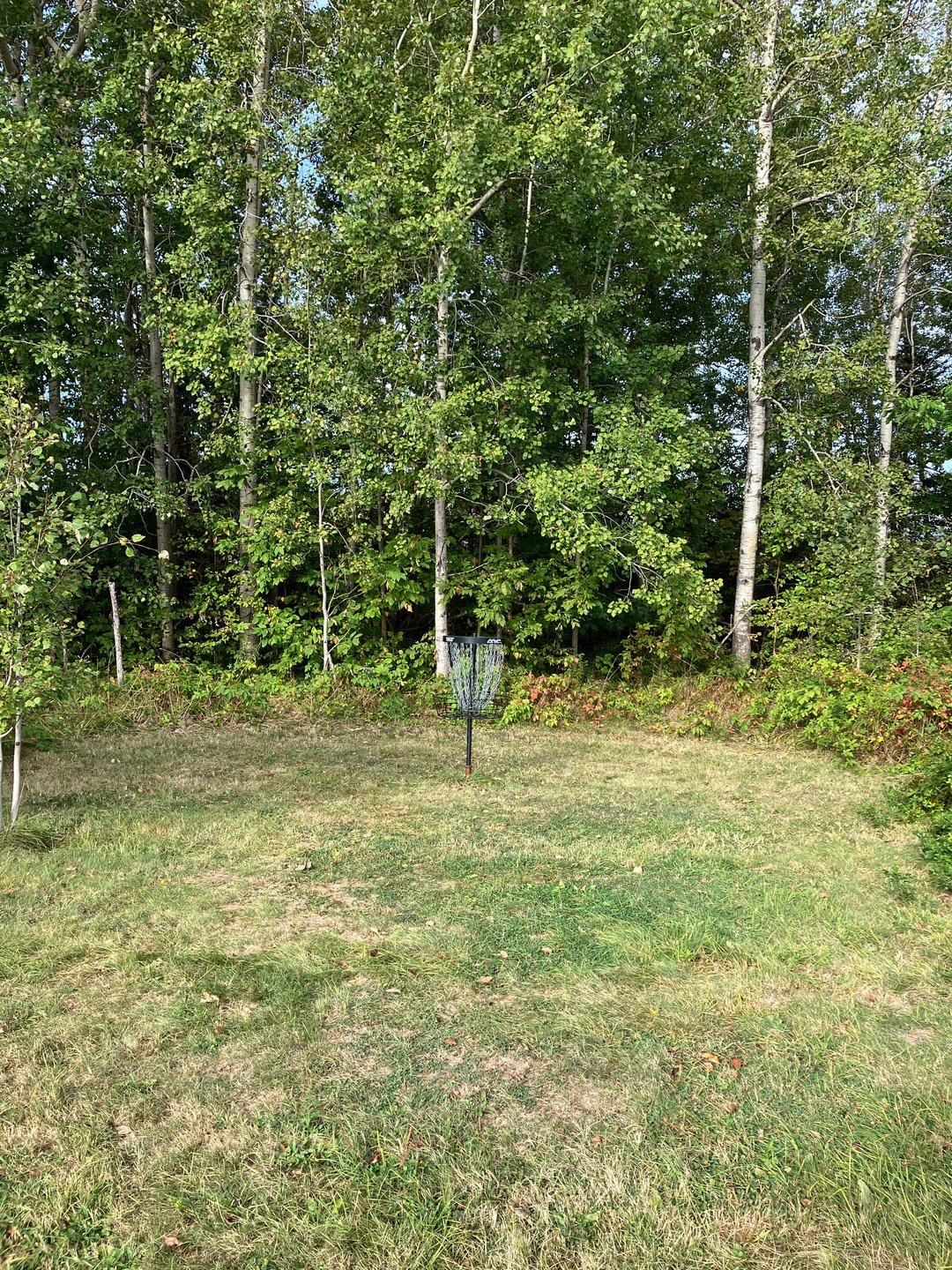 Hole 4 basket