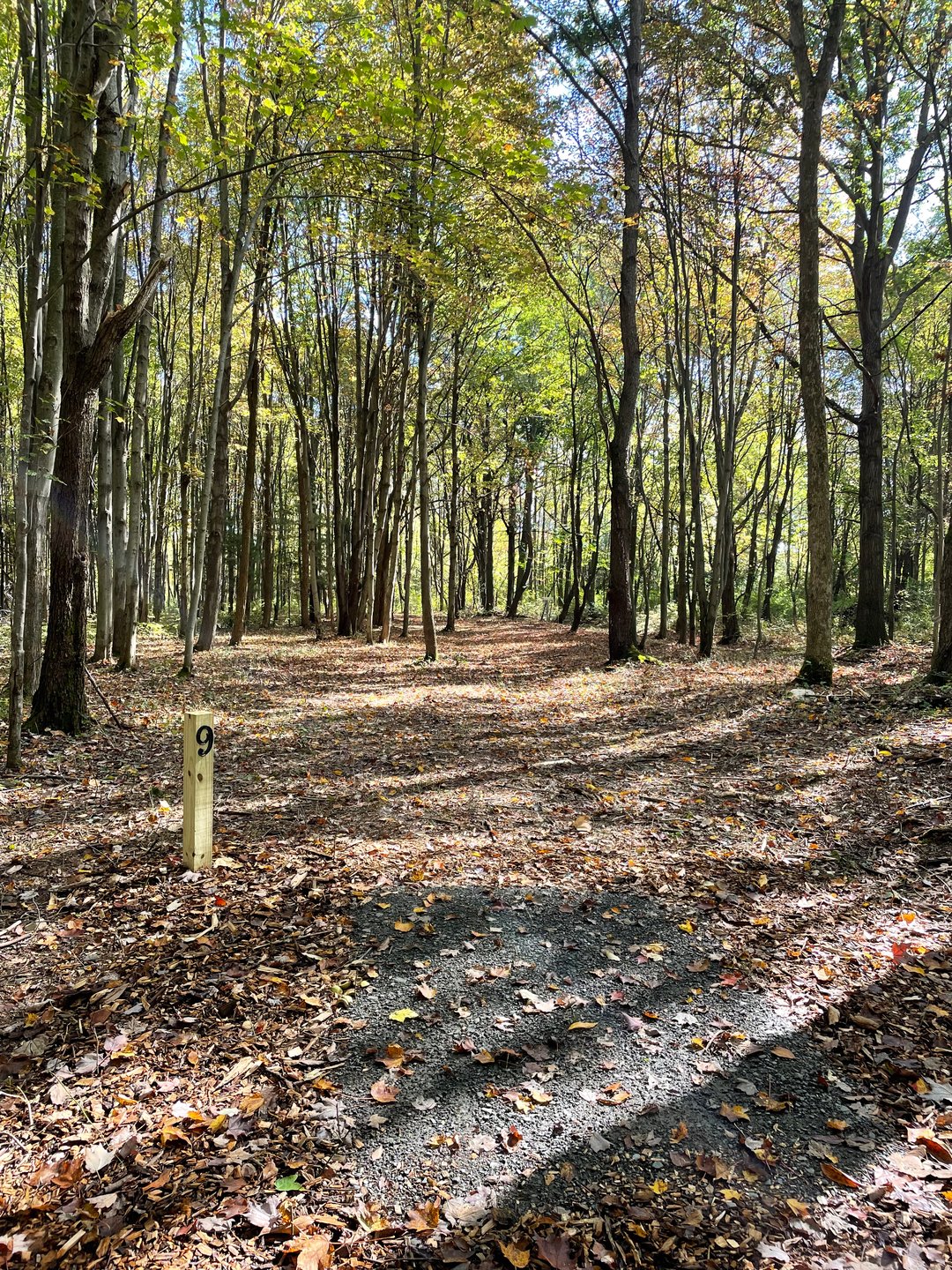 Hole 9, Tee. 