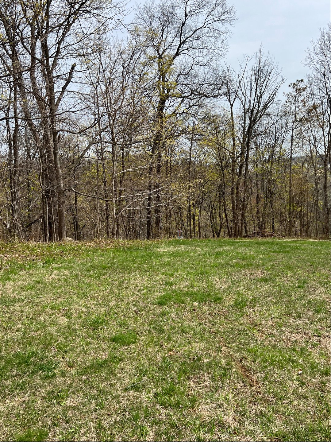 Hole 2 Orange as seen from Hole 2 Silver