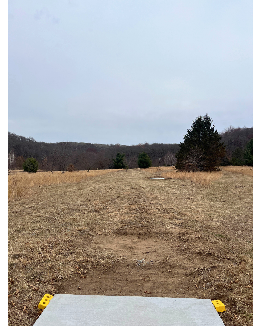 Hole 12 - Long Par 3