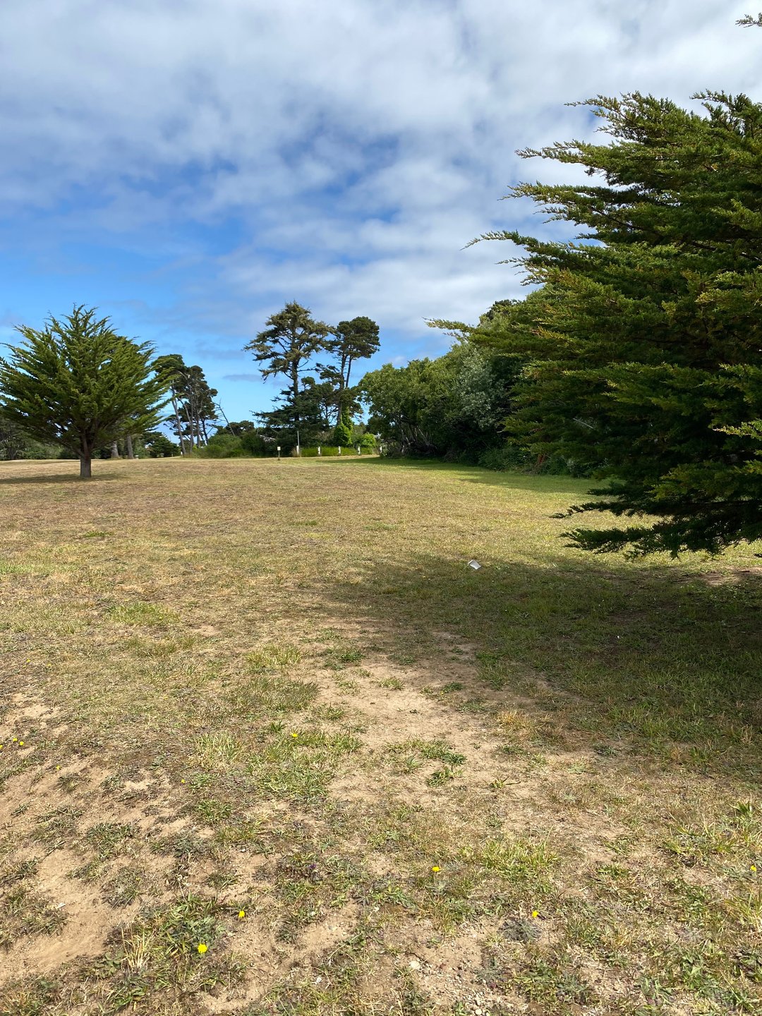 Tee pad for Hole 12A.  Just left of the cedar tree.