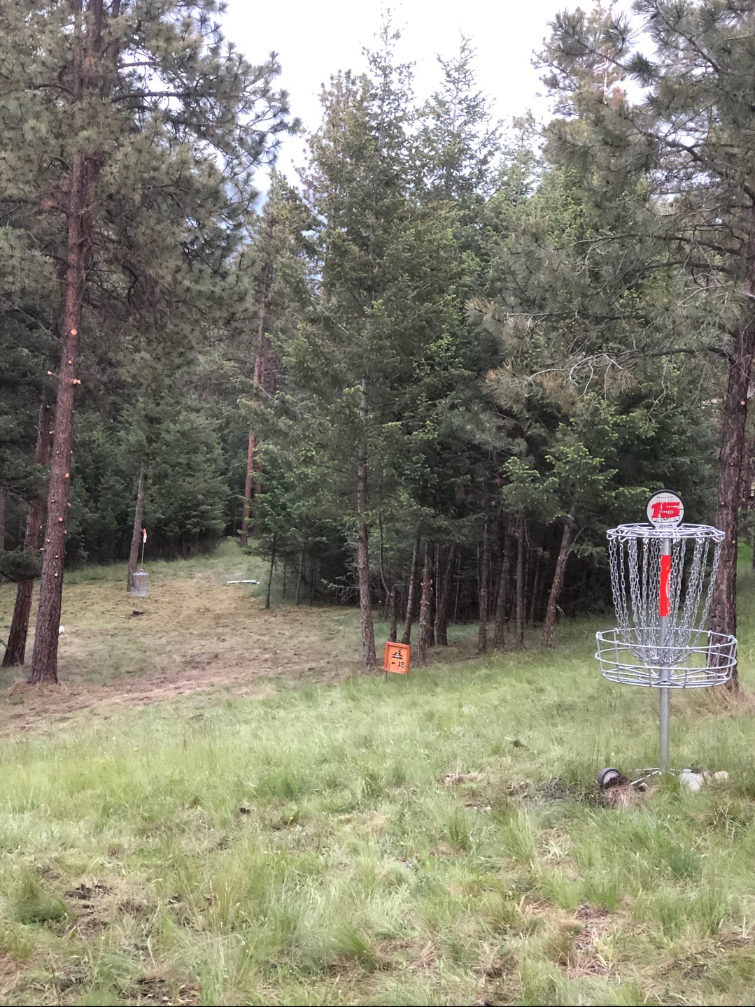 Old photo of 15 - Red (basket moved out of Way to rt and hole greatly cleaned up 