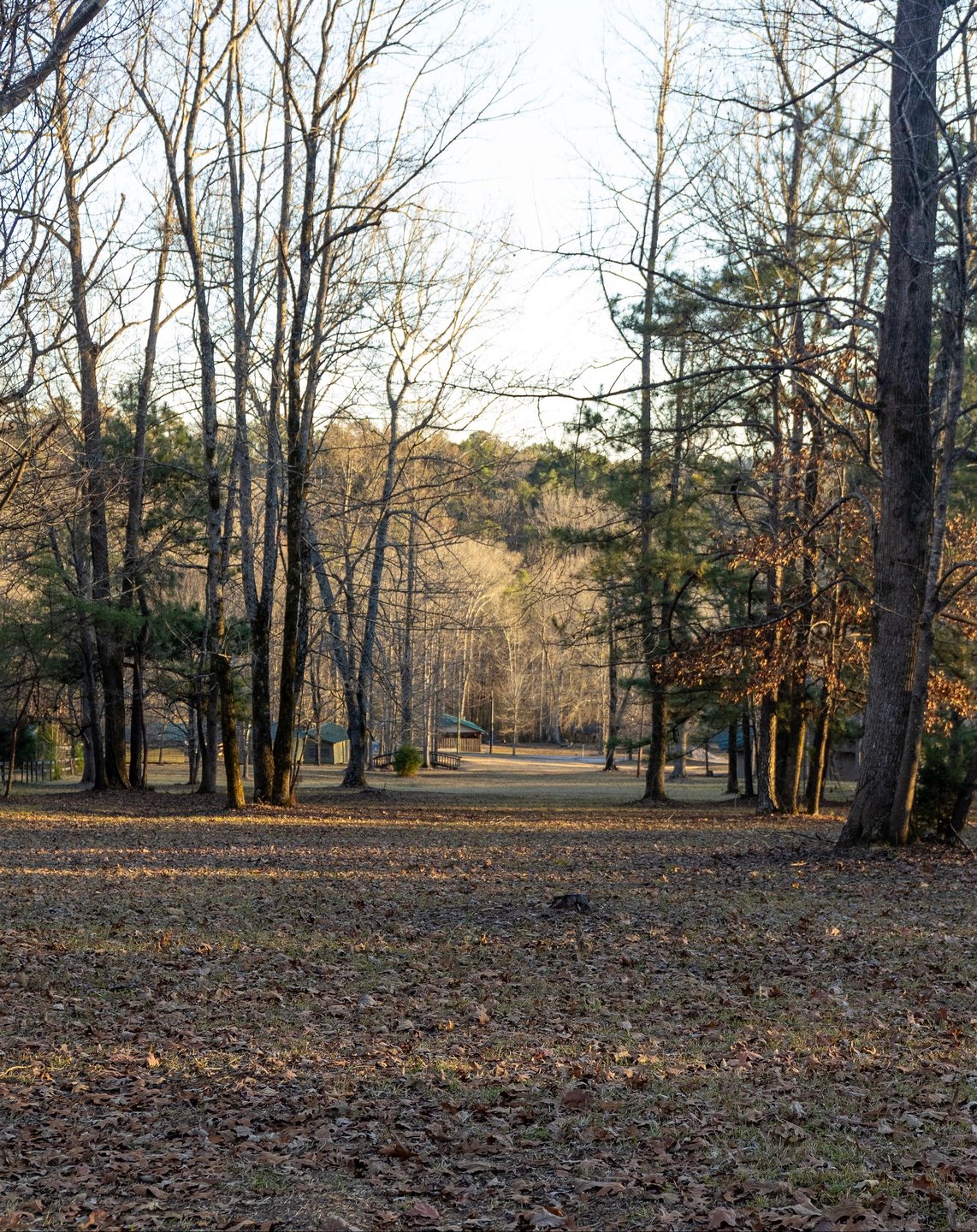 View for the fairway of 18 from the Gold Tees.