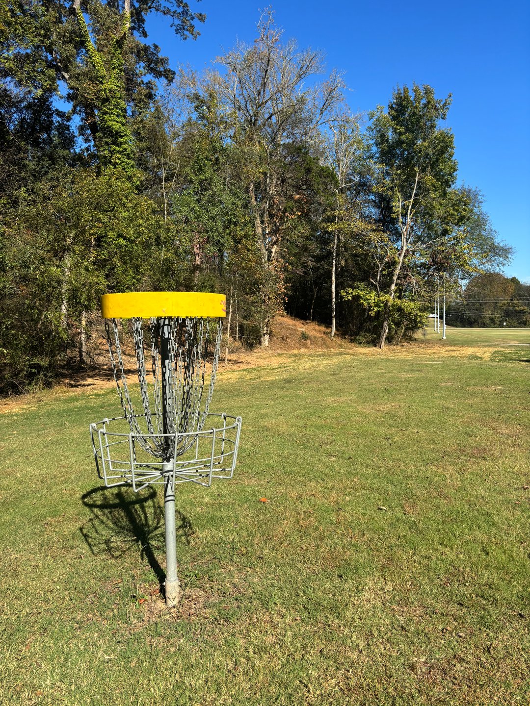 Hole #4 Basket to Tee