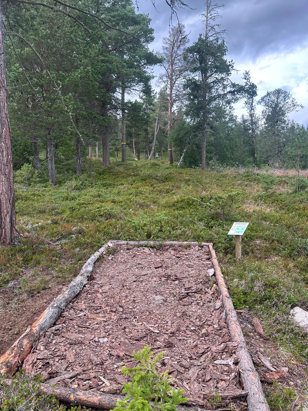 Midlertidig utkast hull 10