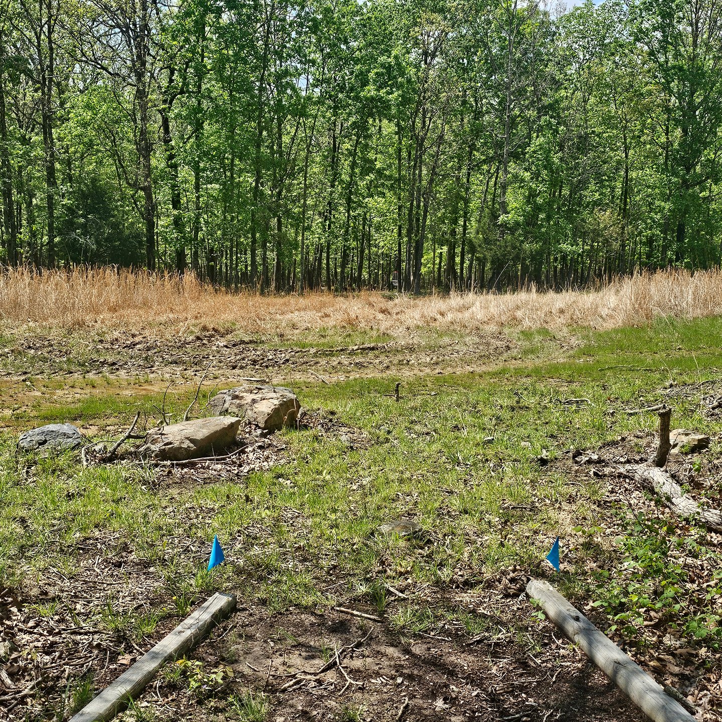 Hole 6 from the tee. 