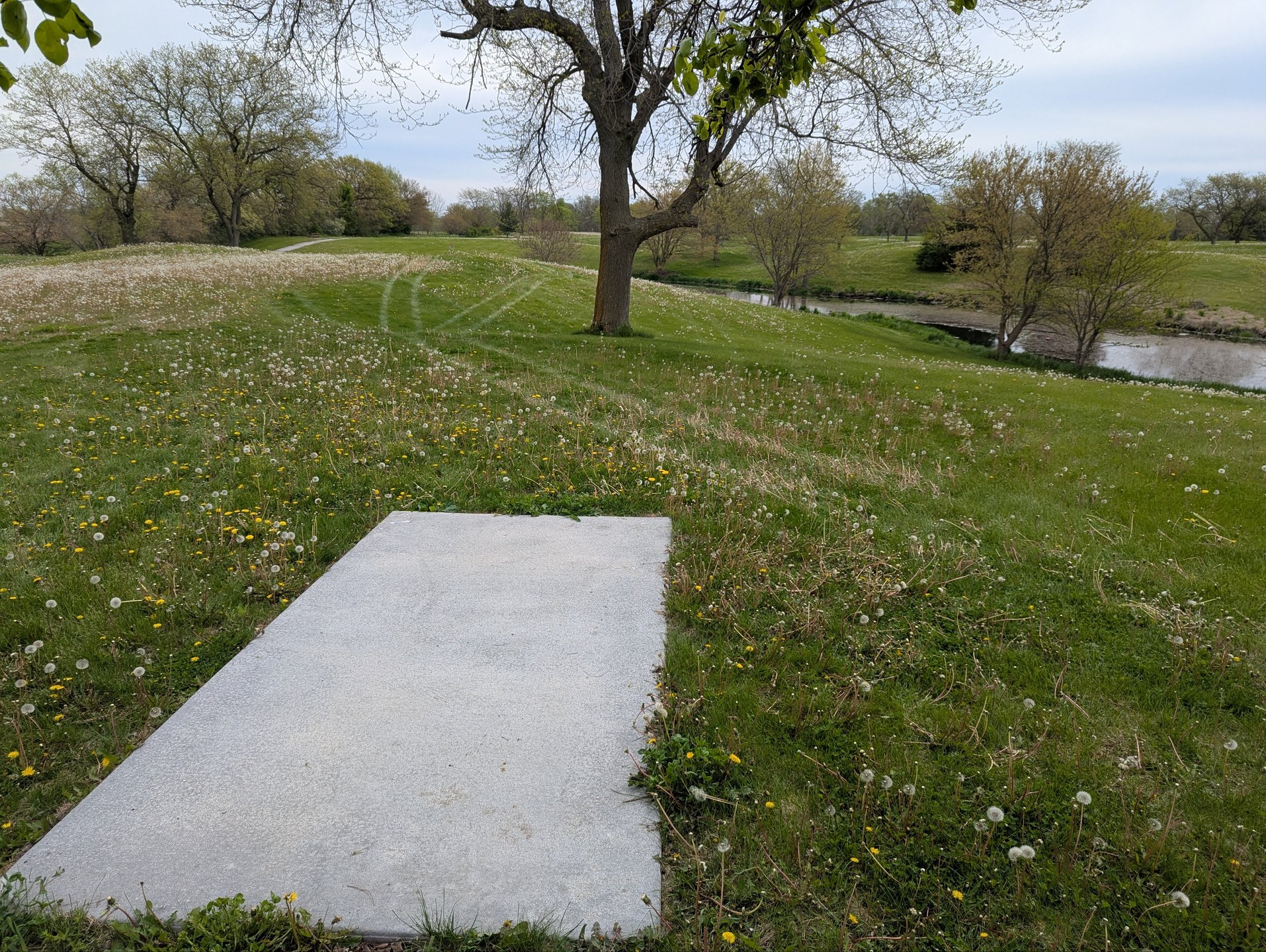 Hole 3 Short Tee