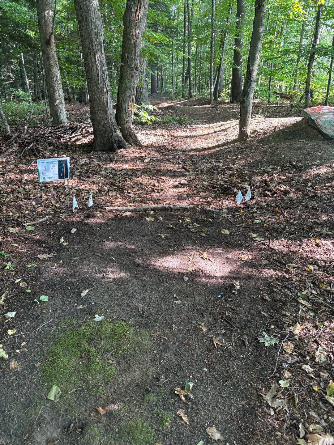 Tenth tee area