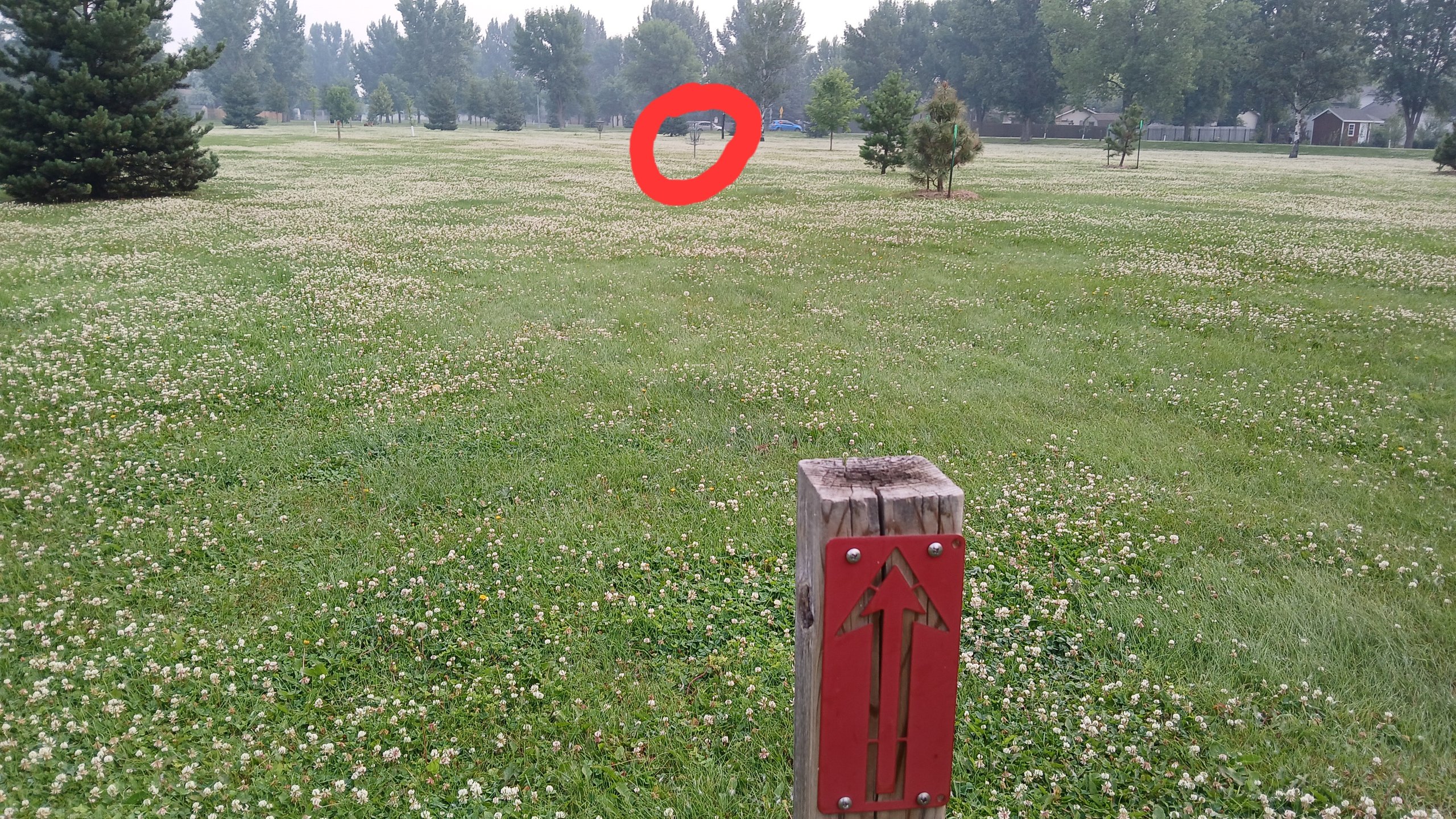 Hole 5 takes you to the middle of the park

124ft