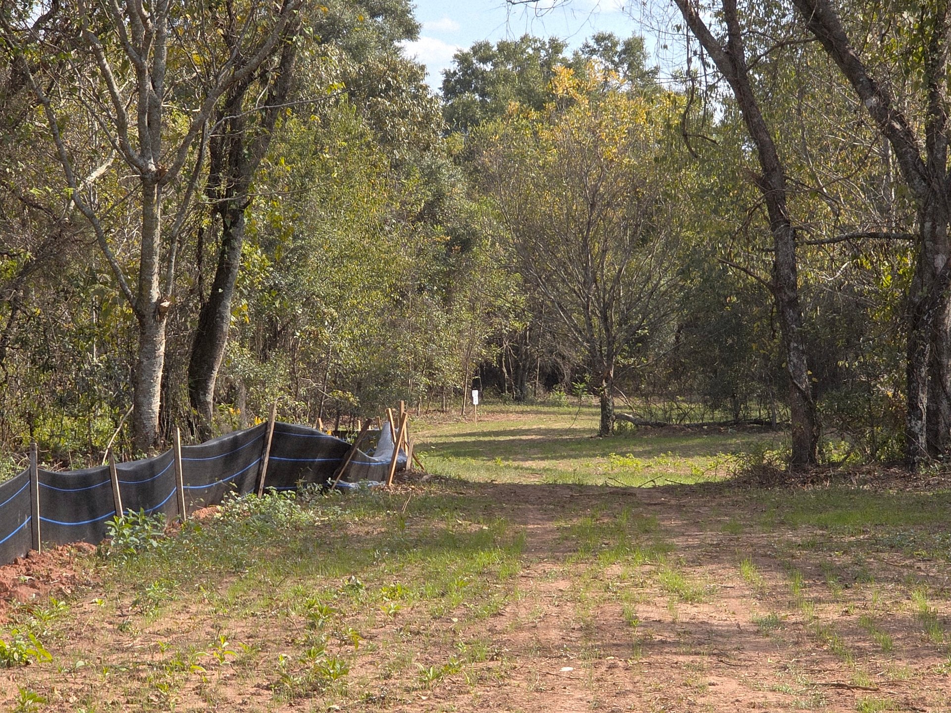 Hole 11' tee shot, showing the initial gap, with the secondary gap farther down the hill.
