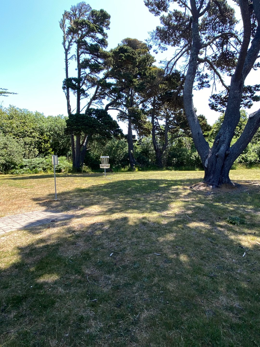 Basket for Hole 25A on the Bandon 30 layout