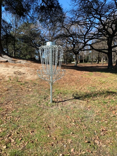 Hole 1 basket