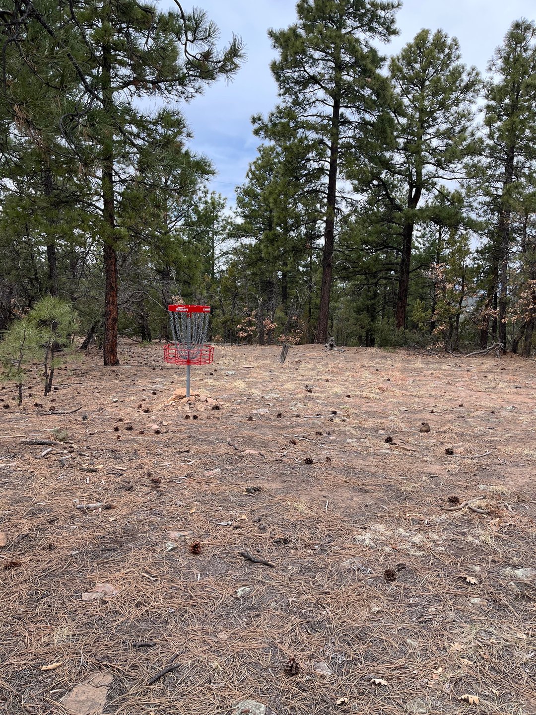 Hole 17 Basket