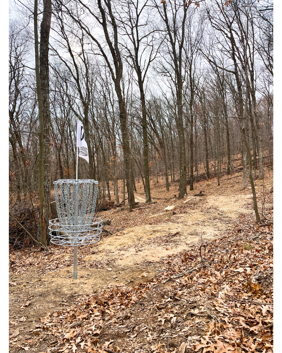 Basket behind Hole #2 - Short Technical Par 4