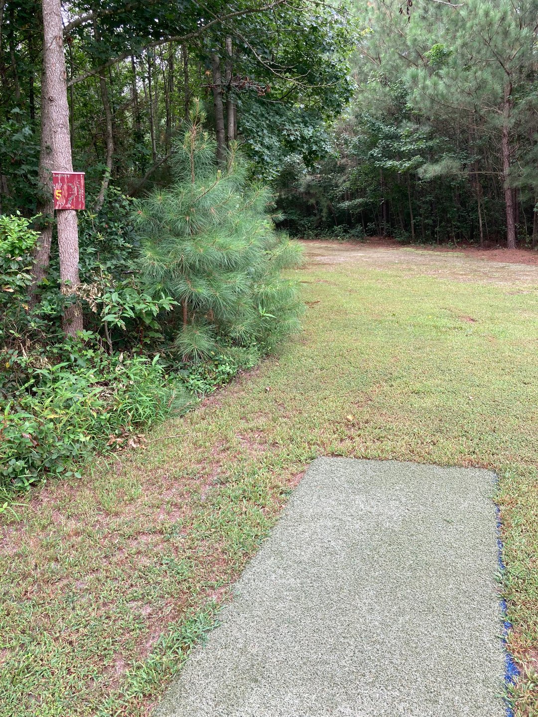 Hole 5 tee pad, mando on left kinda blind from tee, use spotter if possible. basket is a sharp dog leg left.  A Roller or skip shot is recommended to get a birdie look.