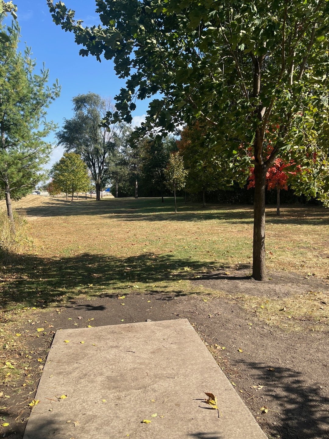16 tee