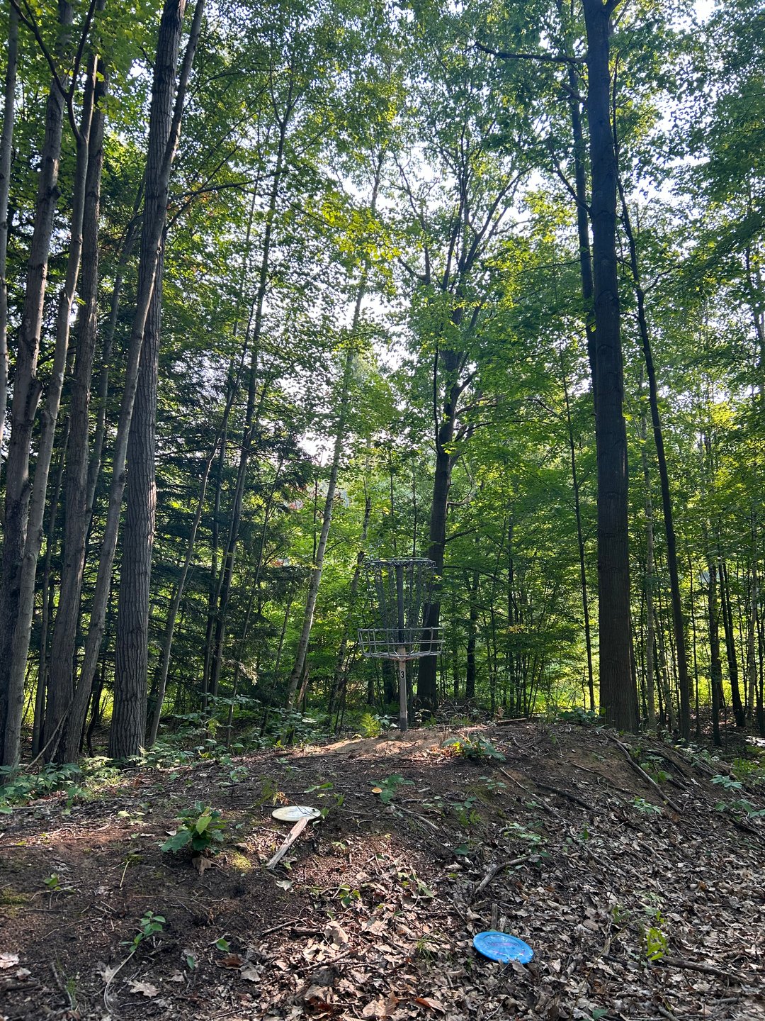 Hole 5s basket with rollaway potential