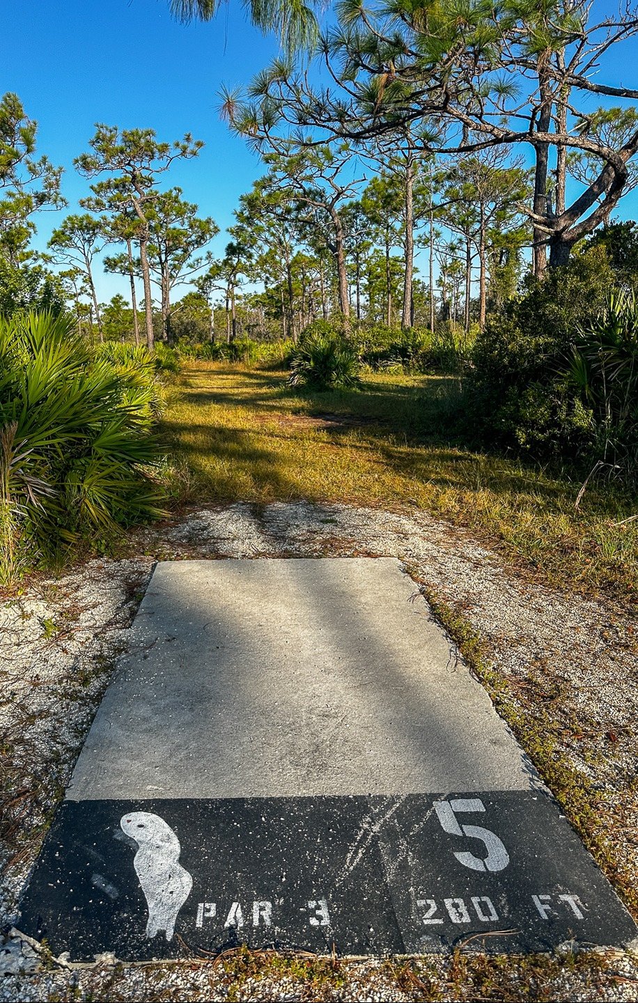 Current tee location 10/2025.  245 ft to basket from front of tee