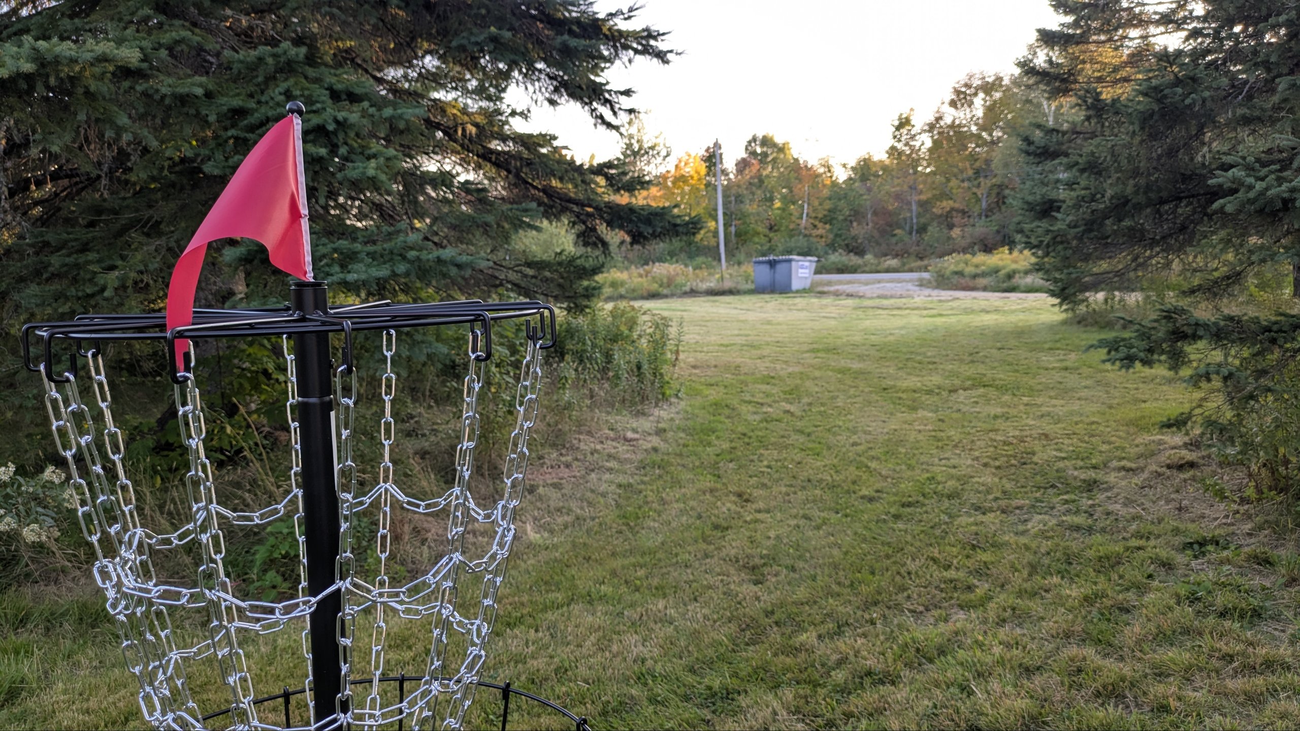 Hole 2 target in its cleared area among the trees