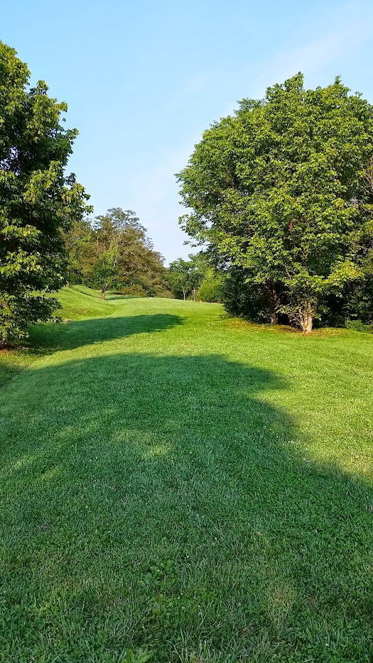 Hole 9 - short tees.  Three possible positions.  One short to the right, one longer in the middle, and one to the left of the scraggly looking tree in the distance; this last pin is on the side of the hill going up the left of the image.